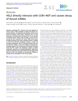 HELZ Directly Interacts with CCR4–NOT and Causes Decay of Bound Mrnas