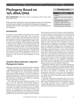 Phylogeny Based on 16S Rrna/DNA