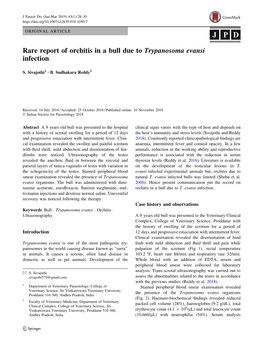 Rare Report of Orchitis in a Bull Due to Trypanosoma Evansi Infection