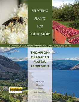 Thompson- Okanagan Plateau Ecoregion