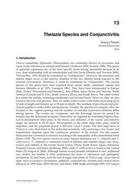 Thelazia Species and Conjunctivitis
