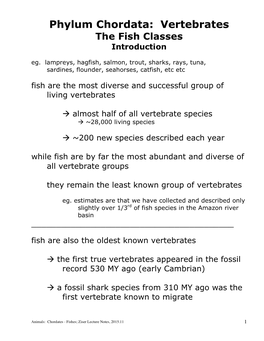 Phylum Chordata-Fishes