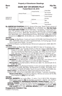 DARK BAY OR BROWN FILLY Barn 11 Hip No