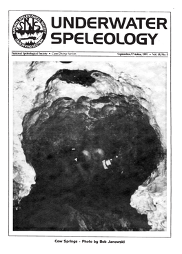 Underwater Speleology