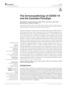 The Immunopathology of COVID-19 and the Cannabis Paradigm