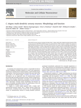 C. Elegans Multi-Dendritic Sensory Neurons: Morphology and Function