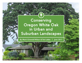 Conserving Oregon White Oak in Urban and Suburban Landscapes