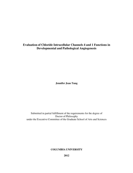 Evaluation of Chloride Intracellular Channels 4 and 1 Functions in Developmental and Pathological Angiogenesis