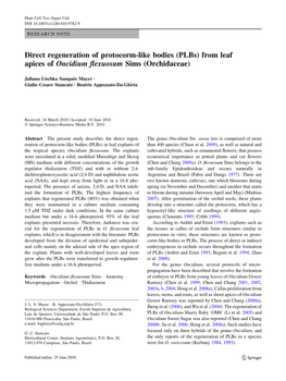 Plbs) from Leaf Apices of Oncidium Flexuosum Sims (Orchidaceae