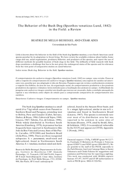 The Behavior of the Bush Dog (Speothos Venaticus Lund, 1842) in the Field: a Review