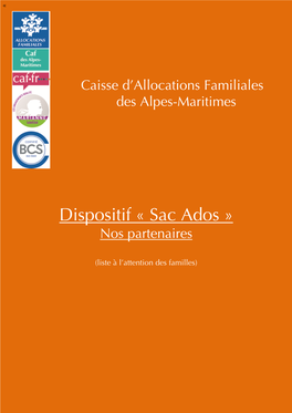 PARTENAIRES SAC ADOS 2017 Liste Familles