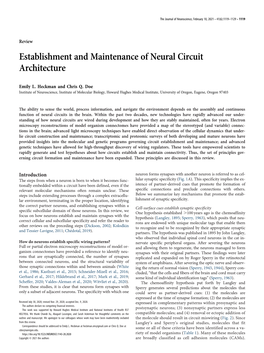 Establishment and Maintenance of Neural Circuit Architecture