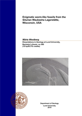 Enigmatic Worm-Like Fossils from the Silurian Waukesha Lagerstätte, Wisconsin, USA