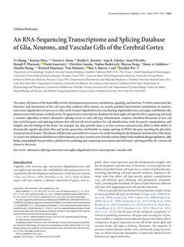 An RNA-Sequencing Transcriptome and Splicing Database of Glia, Neurons, and Vascular Cells of the Cerebral Cortex