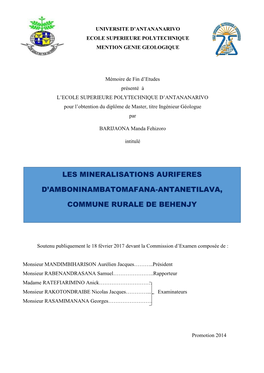 Les Mineralisations Auriferes D'amboninambatomafana