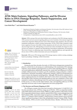 ATM: Main Features, Signaling Pathways, and Its Diverse Roles in DNA Damage Response, Tumor Suppression, and Cancer Development