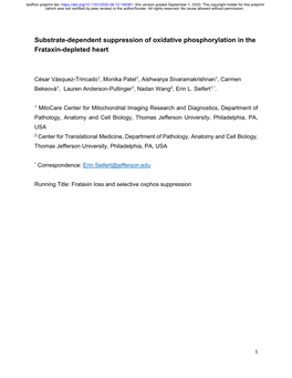 Substrate-Dependent Suppression of Oxidative Phosphorylation in the Frataxin-Depleted Heart