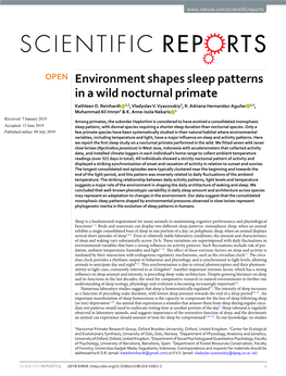 Environment Shapes Sleep Patterns in a Wild Nocturnal Primate Kathleen D