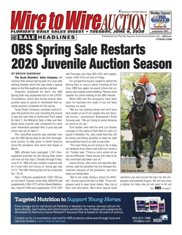 OBS Spring Sale Restarts 2020 Juvenile Auction Season