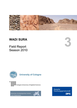 WADI SURA Field Report Season 2010