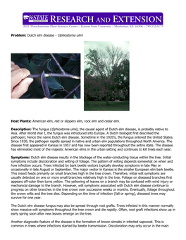 Dutch Elm Disease - Ophiostoma Ulmi