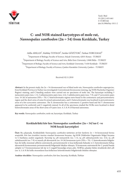 And NOR Stained Karyotypes of Mole Rat, Nannospalax Xanthodon (2N = 54) from Kırıkkale, Turkey