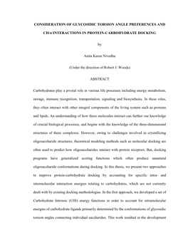 CONSIDERATION of GLYCOSIDIC TORSION ANGLE PREFERENCES and CH/Π INTERACTIONS in PROTEIN-CARBOHYDRATE DOCKING by Anita Karen Nive