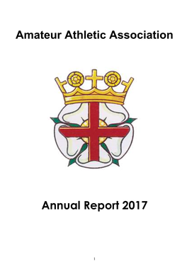 AAA Annual Report 2017