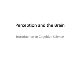 Perception and the Brain