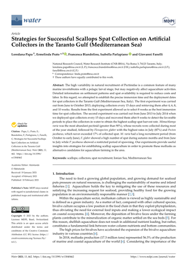 Strategies for Successful Scallops Spat Collection on Artificial