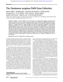 Pseudomonas Aeruginosa PA01 Gene Collection