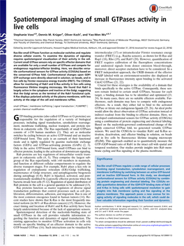 Spatiotemporal Imaging of Small Gtpases Activity in Live Cells