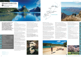 Mount Cook Lily 14 DAYS SOUTH ISLAND Nelson & Abel Tasman from £3,420 Picton Wellington