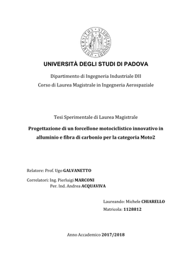 Progettazione Di Un Forcellone Motociclistico Innovativo in Alluminio E Fibra Di Carbonio Per La Categoria Moto2