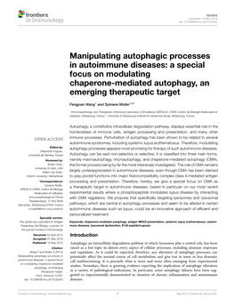 Manipulating Autophagic Processes in Autoimmune Diseases: a Special Focus on Modulating Chaperone-Mediated Autophagy, an Emerging Therapeutic Target