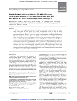 Nedd8-Activating Enzyme Inhibitor MLN4924 Provides Synergy with Mitomycin C Through Interactions with ATR, BRCA1/BRCA2, and Chromatin Dynamics Pathways