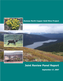 Joint Review Panel Report