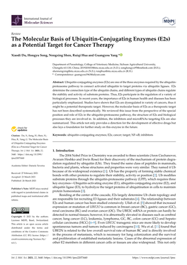 The Molecular Basis of Ubiquitin-Conjugating Enzymes (E2s) As a Potential Target for Cancer Therapy