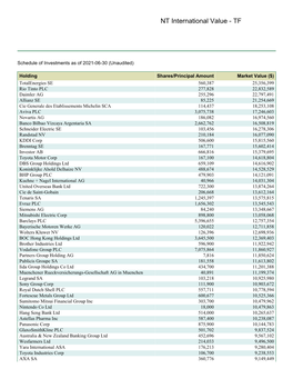 NT International Value - TF