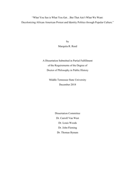 What You See Is What You Get…But That Ain’T What We Want: Decolonizing African American Protest and Identity Politics Through Popular Culture.”