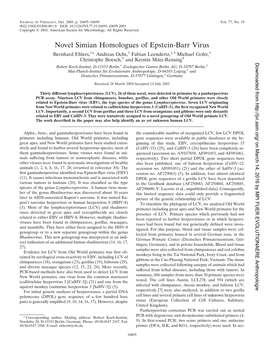 Novel Simian Homologues of Epstein-Barr Virus Bernhard Ehlers,1* Andreas Ochs,2 Fabian Leendertz,1,3 Michael Goltz,1 3 4