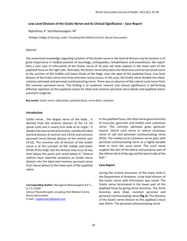 Low Level Division of the Sciatic Nerve and Its Clinical Significance - Case Report