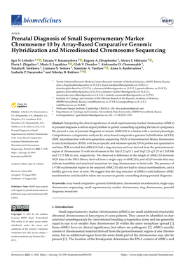 Prenatal Diagnosis of Small Supernumerary Marker Chromosome 10 by Array-Based Comparative Genomic Hybridization and Microdissected Chromosome Sequencing