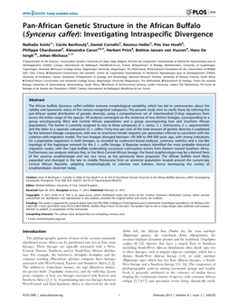 Pan-African Genetic Structure in the African Buffalo (Syncerus Caffer): Investigating Intraspecific Divergence