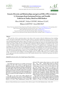 Genetic Diversity and Relationships Among Local Olive (Olea