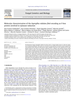 Molecular Characterization of the Aspergillus Nidulans Fbxa Encoding an F-Box Protein Involved in Xylanase Induction