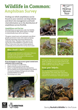 Wildlife in Common: Amphibian Survey