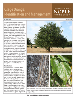 Osage Orange: Identification and Management by James Locke NF-SO-11-08