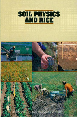 Soil Physics and Rice
