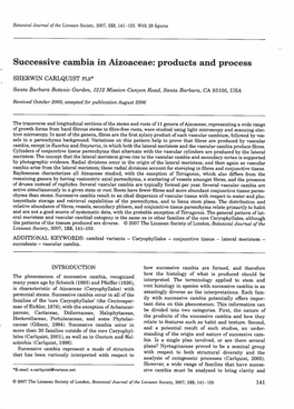Successive Cambia in Aizoaceae: Products and Process